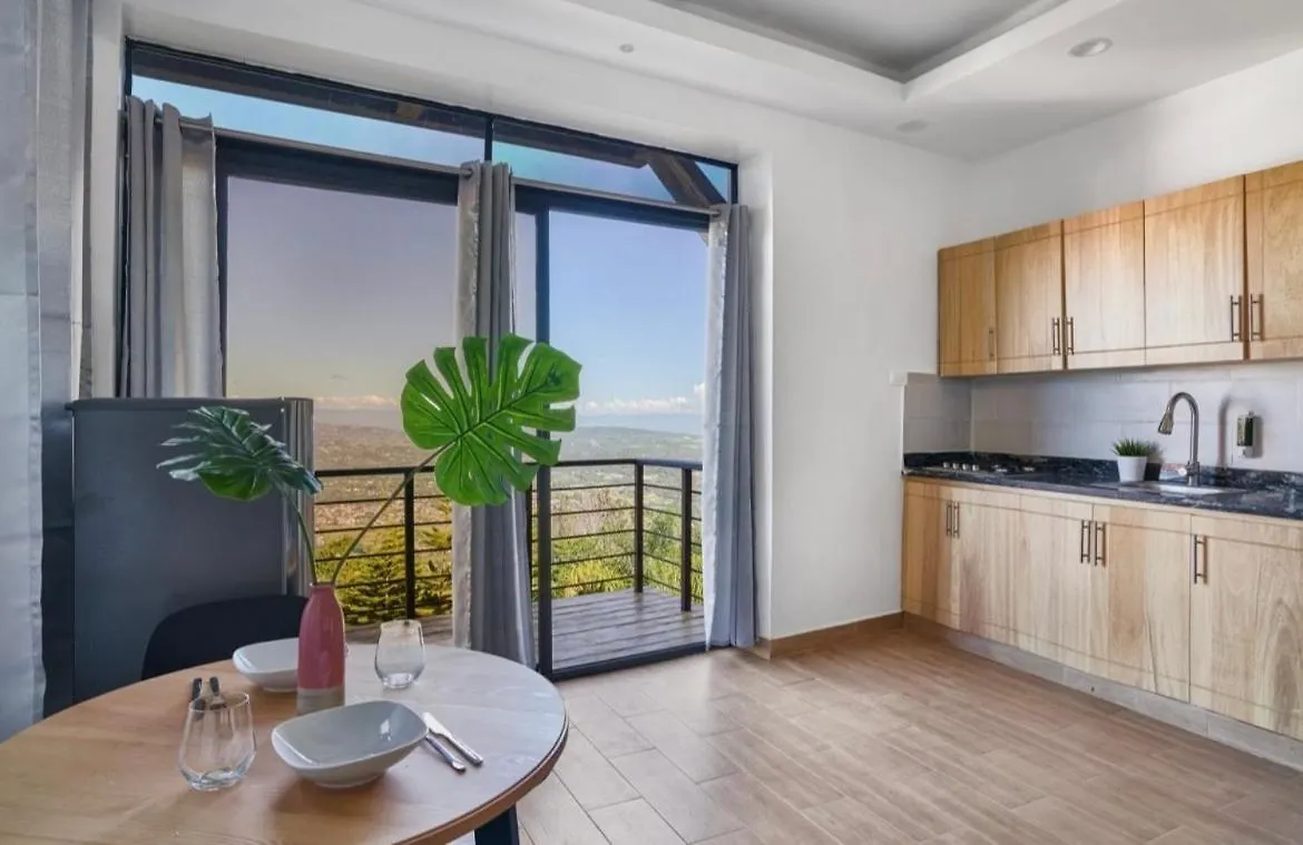 Villa Favella-Pop-Art-View-7Br-Jamaca De Dios-Balcony-Dream جاراباكو